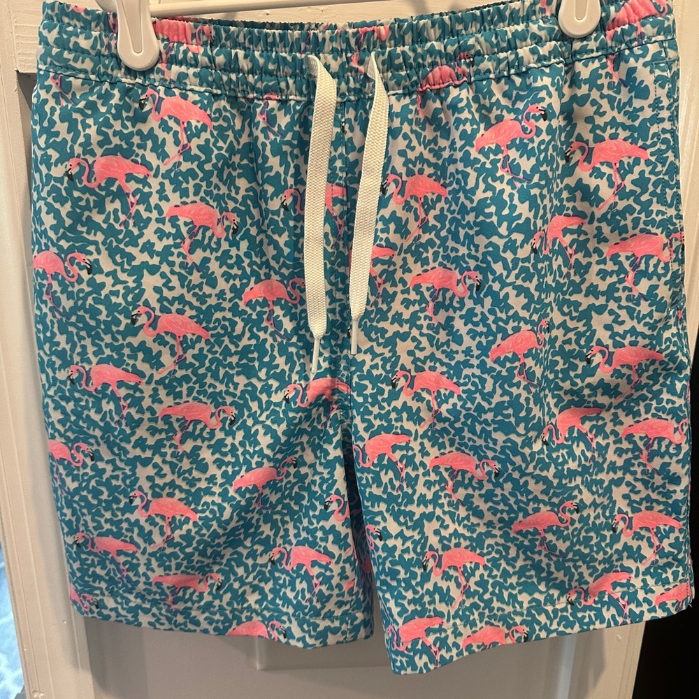Chubbies Boys Blue and Pink Flamingo Patterned Shorts